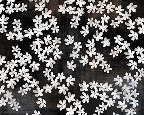 Delicate White Petals Art Print by Julia Cheney