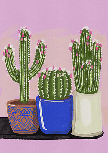 Blooming Potted Cacti Art Print by Nicholas
