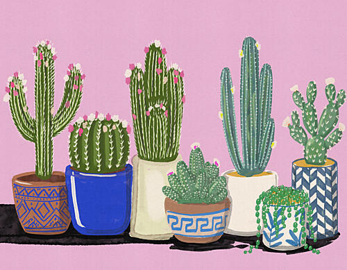 Colorful Cactus Garden Art Print by Nicholas