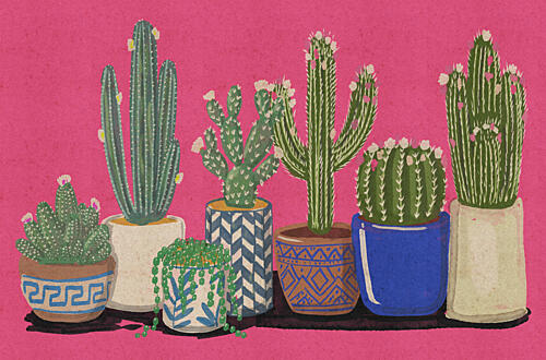 Vibrant Cacti Collection Botanique reproduction