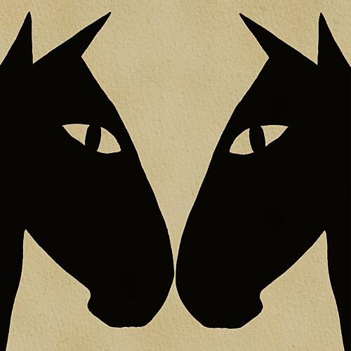 Black Horse Connection Animaux reproduction