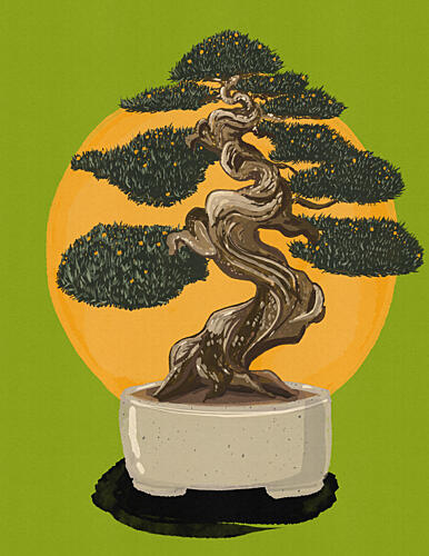 Bonsai Tree Sunset Art Print by Nicholas