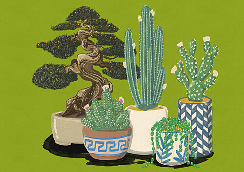 Green Indoor Plants Art Print