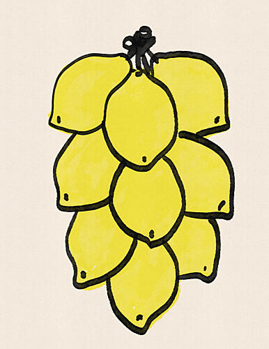 Bright Yellow Lemons Campagne reproduction