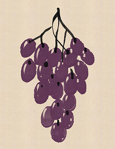 Purple Grape Cluster Alimentation reproduction