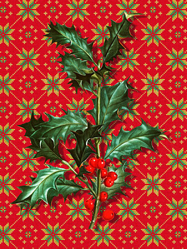 Festive Holly Knit Pattern Art Print