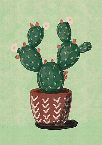 Blooming Potted Cactus Art Print by Nicholas