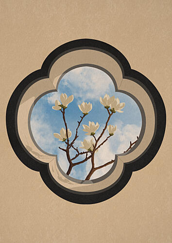 Magnolia Sky Window Art Print
