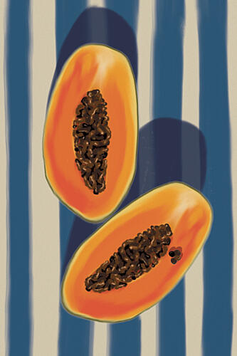 Tropical Papaya Halves Alimentation reproduction