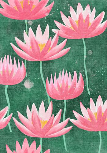 Pink Water Lilies Art Print by Aliya Putrus