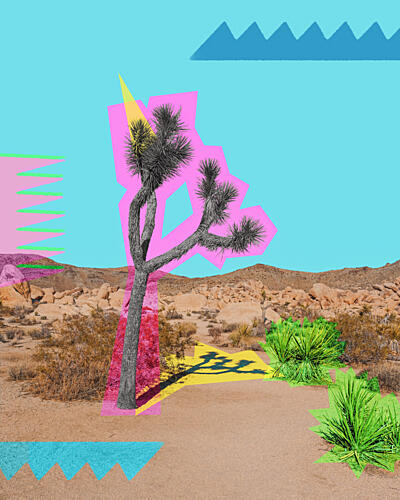 Vivid Desert Joshua Tree Surréaliste reproduction