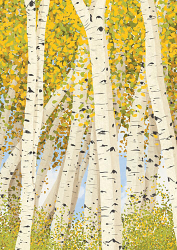 Birch Trees in Autumn Art Print by Lisa Solomoniuk