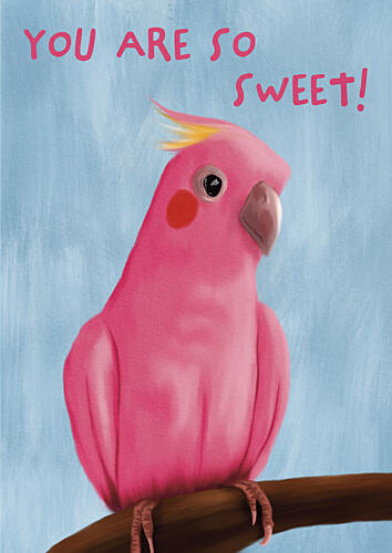Sweet Pink Galah Animaux reproduction