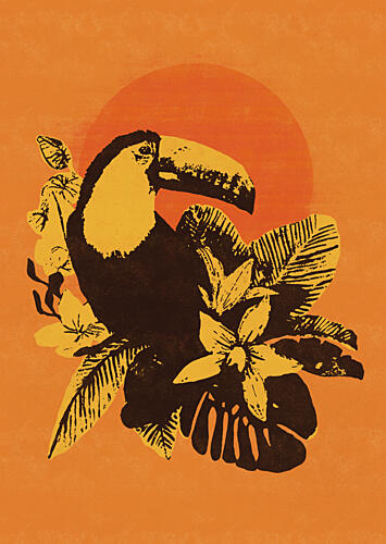 Tropical Toucan Sunset Animaux reproduction