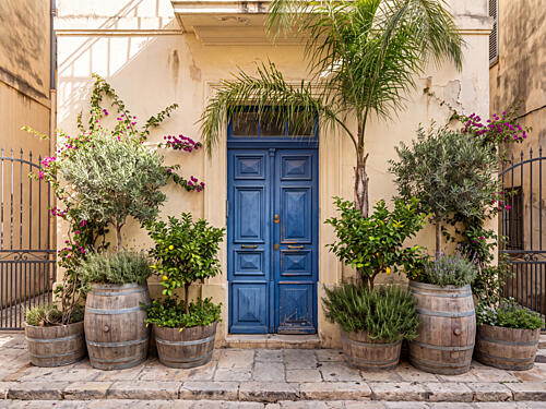 Charming Blue Door Art Print