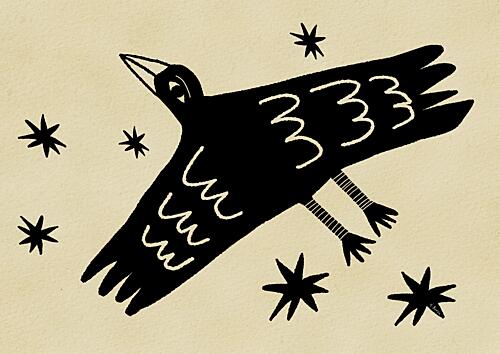 Starry Night Crow Animaux reproduction