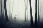 Nowhere