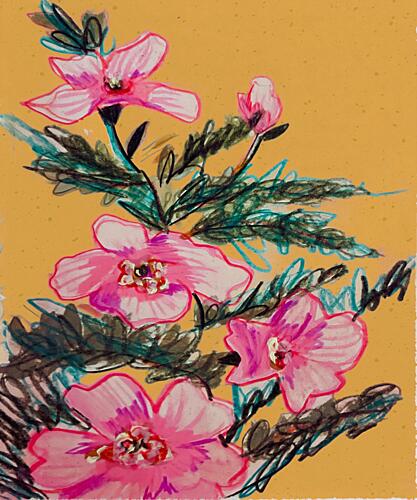 Vibrant Pink Blooms Art Print by Tate Hamilton