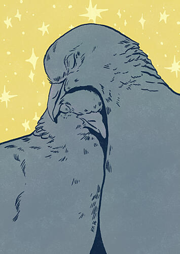 Cuddling Pigeons under Stars Art Print by Katariina Kosunen