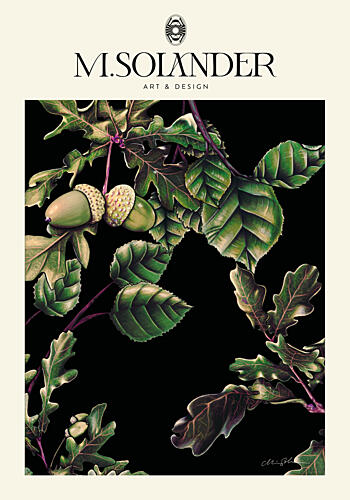 Acorns and Oak Leaves Art Print by Marie Lof Solander