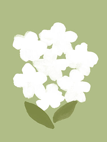 Soft White Blooms Art Print by Moonlight Print