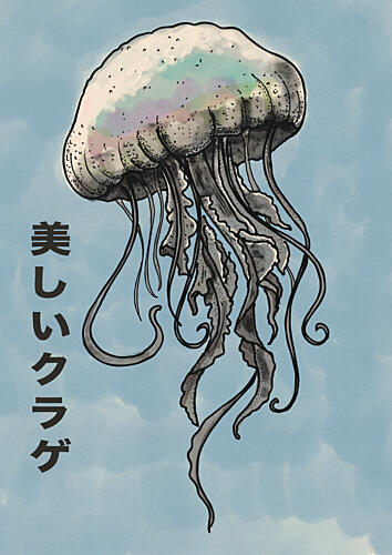 Beautiful Iridescent Jellyfish Art Print by Nicholas