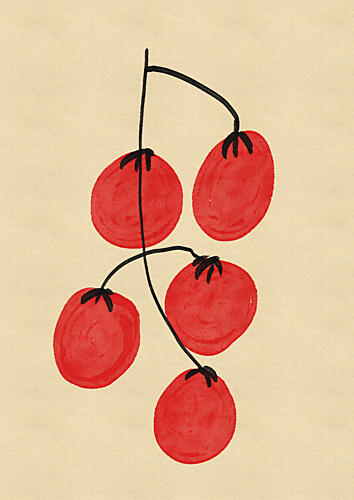 Fresh Red Tomatoes Campagne reproduction