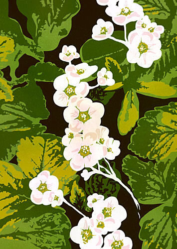 White Flower Cascade Art Print