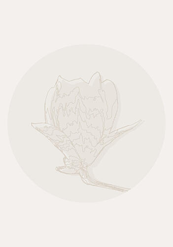 Delicate Floral Outline Minimaliste reproduction