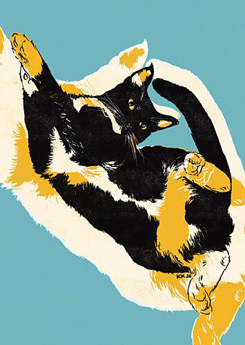 Playful Calico Cat Animaux reproduction