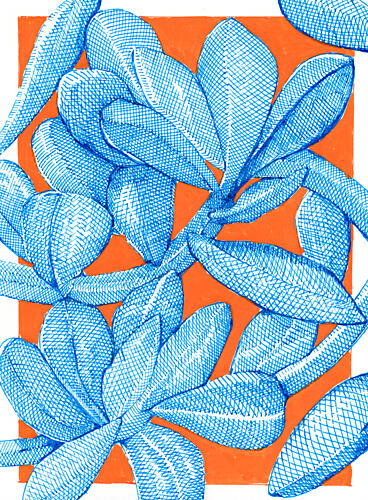 Vibrant Botanical Pop Art abstrait reproduction