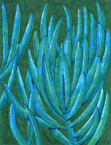 Vibrant Teal Succulents Art abstrait reproduction
