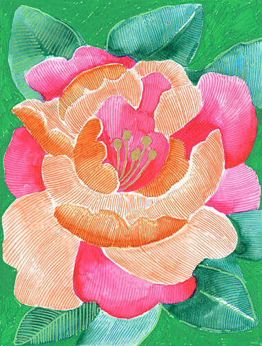 Vibrant Floral Bloom Art Print