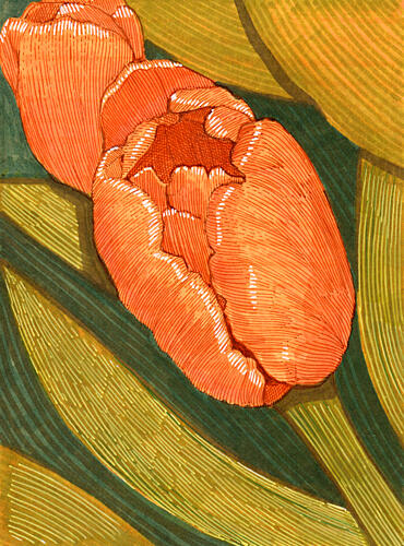 Bright Orange Tulips with Green Leaf Line Drawing Art Print by Katie O'Shea