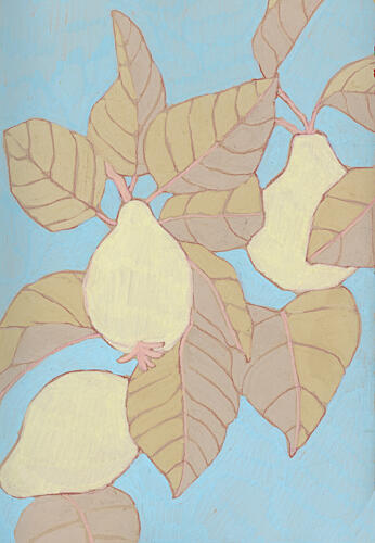 Pears on Blue Branch Alimentation reproduction