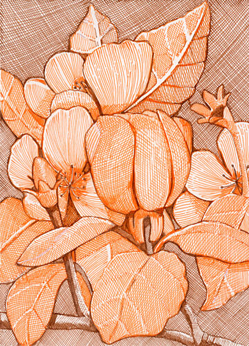 Hatched Orange Blossoms Art Print by Katie O'Shea