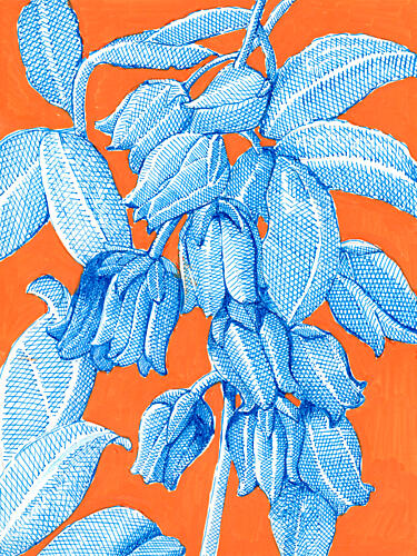 Vibrant Blue Botanicals Art Print