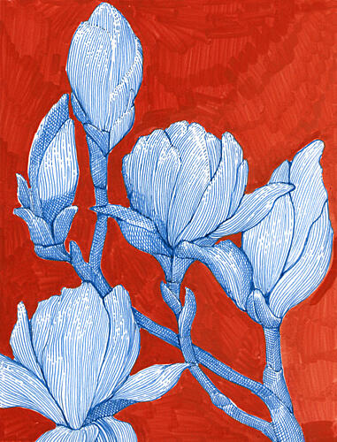 Bold Blue Magnolias Art Print by Katie O'Shea