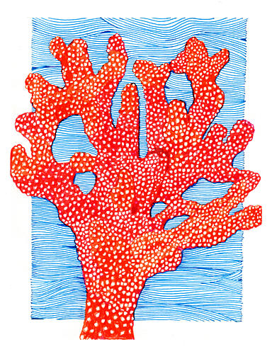 Vibrant Red Coral Bord de mer reproduction
