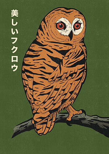 Beautiful Tiger Owl Art Print by Nicholas
