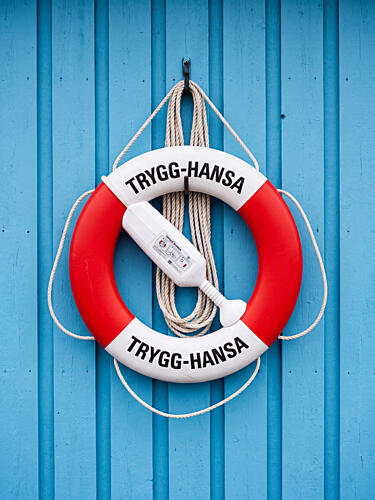 Nautical Life Ring Bord de mer reproduction