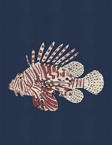 Red Striped Lionfish Océan reproduction