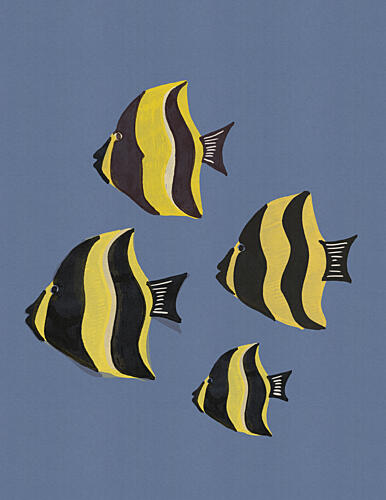 Tropical Striped Fish Océan reproduction