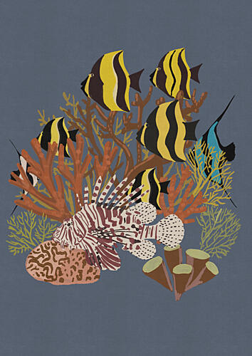 Tropical Fish and Coral Nature reproduction
