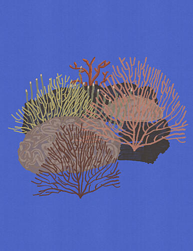 Ocean Coral Garden Bord de mer reproduction