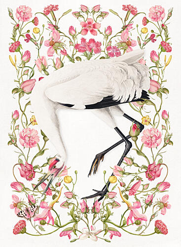 Elegant Crane Pink Blooms Art Print by Marja van den Hurk