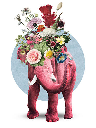 Pink Floral Elephant Surréaliste reproduction