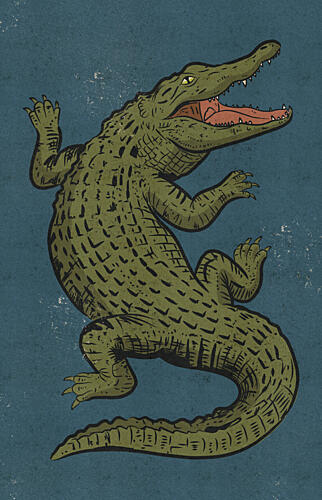 Fierce Alligator Roar Art Print by Nicholas
