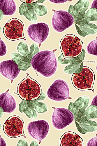 Purple Fig Pattern Alimentation reproduction