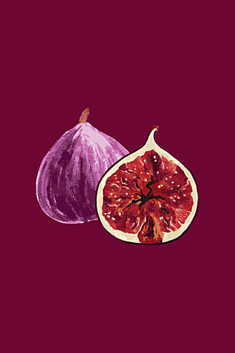 Ripe Purple Figs Alimentation reproduction